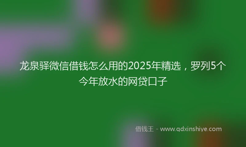 龙泉驿微信借钱怎么用的2025年精选，罗列5个今年放水的网贷口子