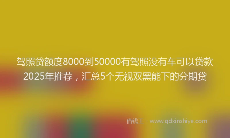 驾照贷额度8000到50000有驾照没有车可以贷款2025年推荐，汇总5个无视双黑能下的分期贷