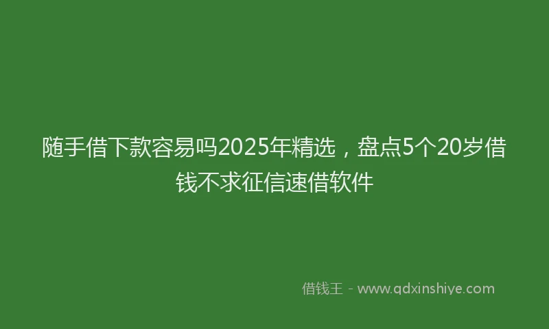 随手借下款容易吗2025年精选，盘点5个20岁借钱不求征信速借软件
