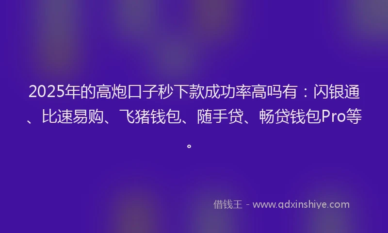 2025年的高炮口子秒下款成功率高吗有：闪银通、比速易购、飞猪钱包、随手贷、畅贷钱包Pro等。