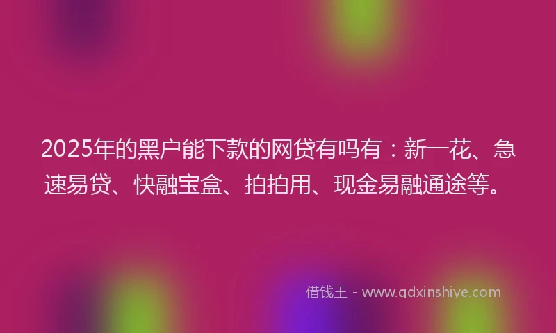 2025年的黑户能下款的网贷有吗有：新一花、急速易贷、快融宝盒、拍拍用、现金易融通途等。