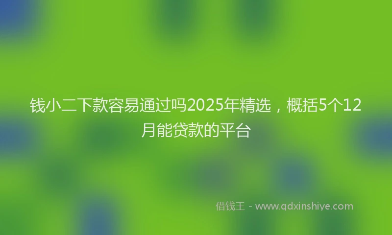 钱小二下款容易通过吗2025年精选，概括5个12月能贷款的平台