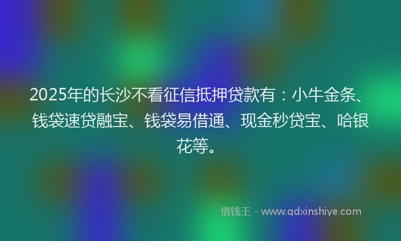 2025年的长沙不看征信抵押贷款有：小牛金条、钱袋速贷融宝、钱袋易借通、现金秒贷宝、哈银花等。
