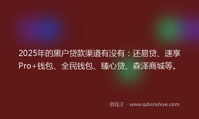 2025年的黑户贷款渠道有没有：还易贷、速享Pro+钱包、全民钱包、臻心贷、森泽商城等。