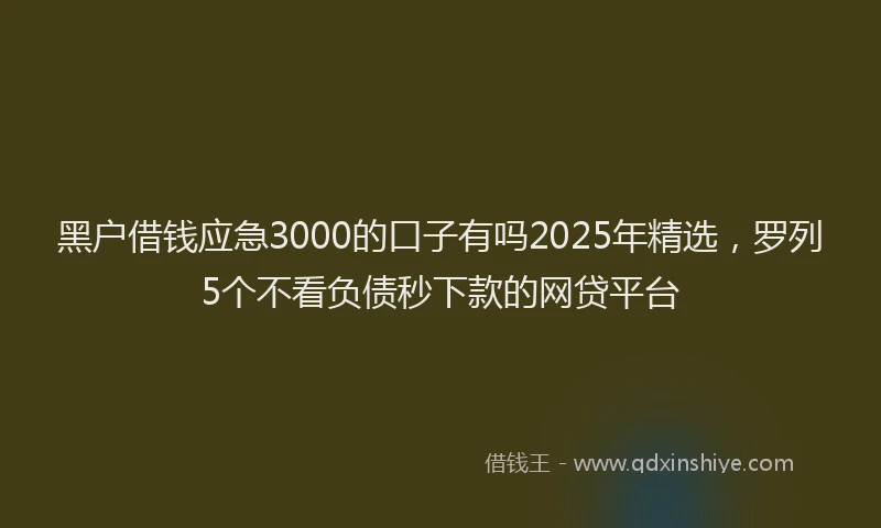黑户借钱应急3000的口子有吗2025年精选，罗列5个不看负债秒下款的网贷平台
