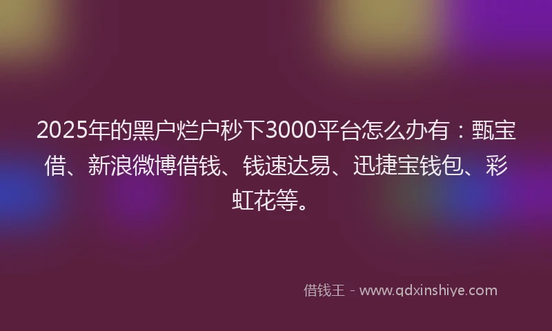 2025年的黑户烂户秒下3000平台怎么办有：甄宝借、新浪微博借钱、钱速达易、迅捷宝钱包、彩虹花等。