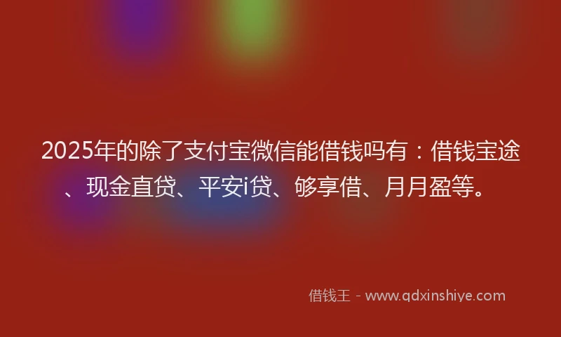 2025年的除了支付宝微信能借钱吗有：借钱宝途、现金直贷、平安i贷、够享借、月月盈等。