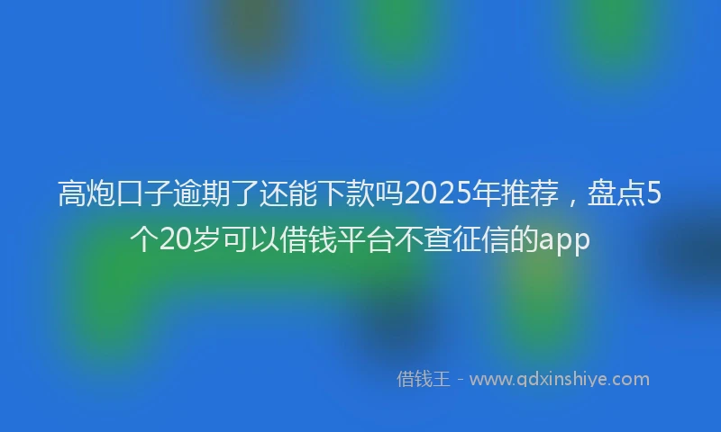 高炮口子逾期了还能下款吗2025年推荐，盘点5个20岁可以借钱平台不查征信的app