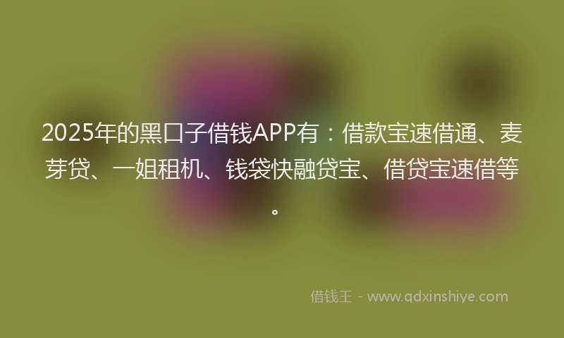 2025年的黑口子借钱APP有：借款宝速借通、麦芽贷、一姐租机、钱袋快融贷宝、借贷宝速借等。