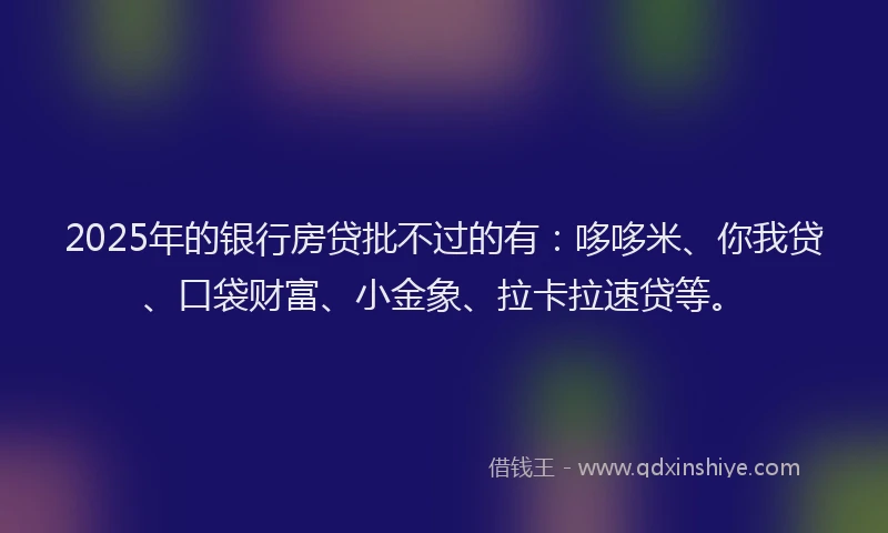 2025年的银行房贷批不过的有：哆哆米、你我贷、口袋财富、小金象、拉卡拉速贷等。