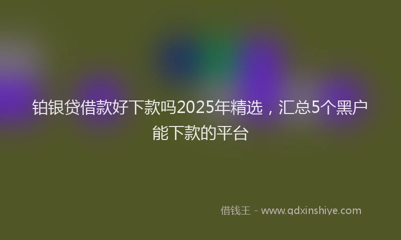 铂银贷借款好下款吗2025年精选，汇总5个黑户能下款的平台