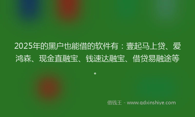 2025年的黑户也能借的软件有：壹起马上贷、爱鸿森、现金直融宝、钱速达融宝、借贷易融途等。