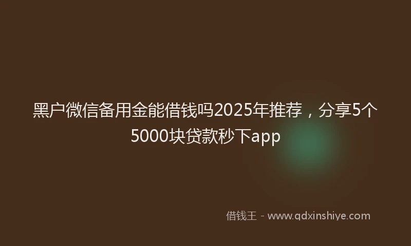 黑户微信备用金能借钱吗2025年推荐，分享5个5000块贷款秒下app