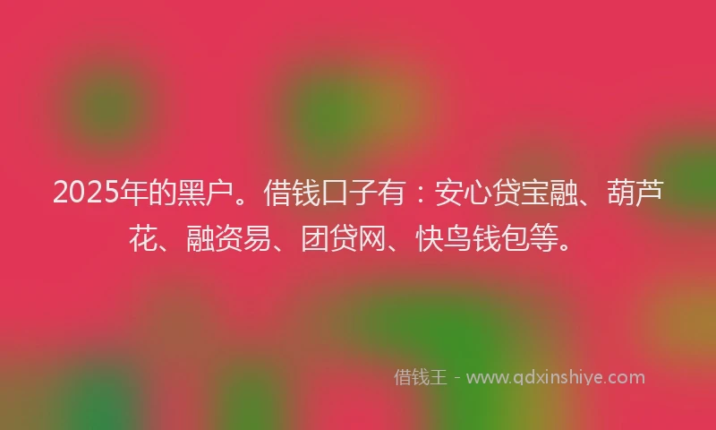 2025年的黑户。借钱口子有：安心贷宝融、葫芦花、融资易、团贷网、快鸟钱包等。