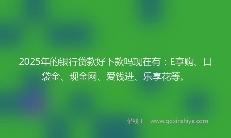 2025年的银行贷款好下款吗现在有：E享购、口袋金、现金网、爱钱进、乐享花等。