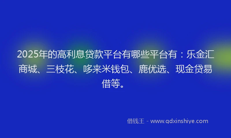 2025年的高利息贷款平台有哪些平台有：乐金汇商城、三枝花、哆来米钱包、鹿优选、现金贷易借等。