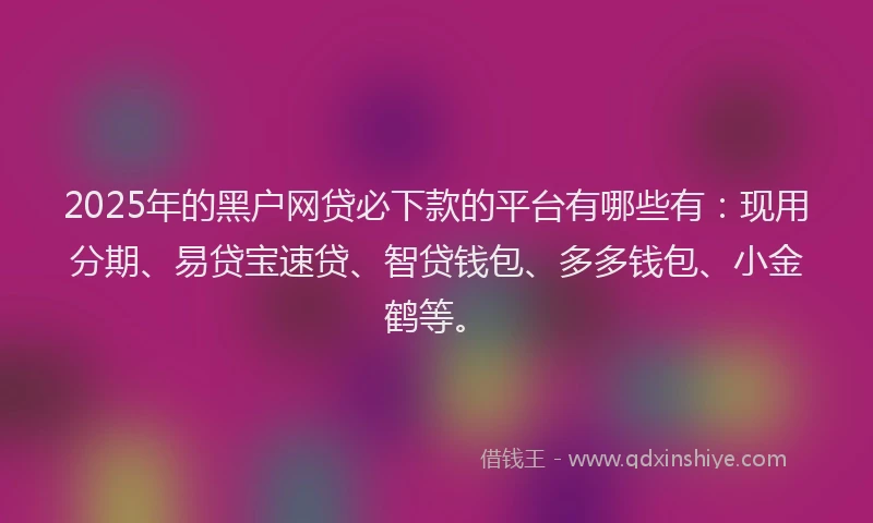 2025年的黑户网贷必下款的平台有哪些有：现用分期、易贷宝速贷、智贷钱包、多多钱包、小金鹤等。