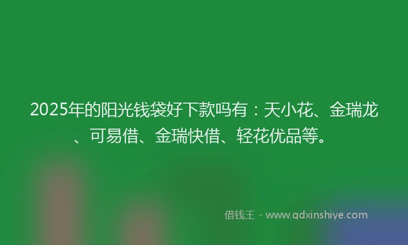 2025年的阳光钱袋好下款吗有：天小花、金瑞龙、可易借、金瑞快借、轻花优品等。