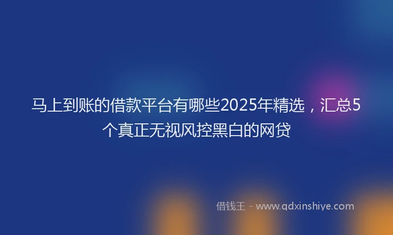 马上到账的借款平台有哪些2025年精选，汇总5个真正无视风控黑白的网贷