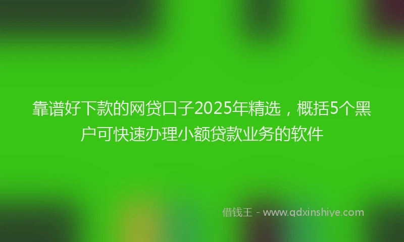 靠谱好下款的网贷口子2025年精选，概括5个黑户可快速办理小额贷款业务的软件