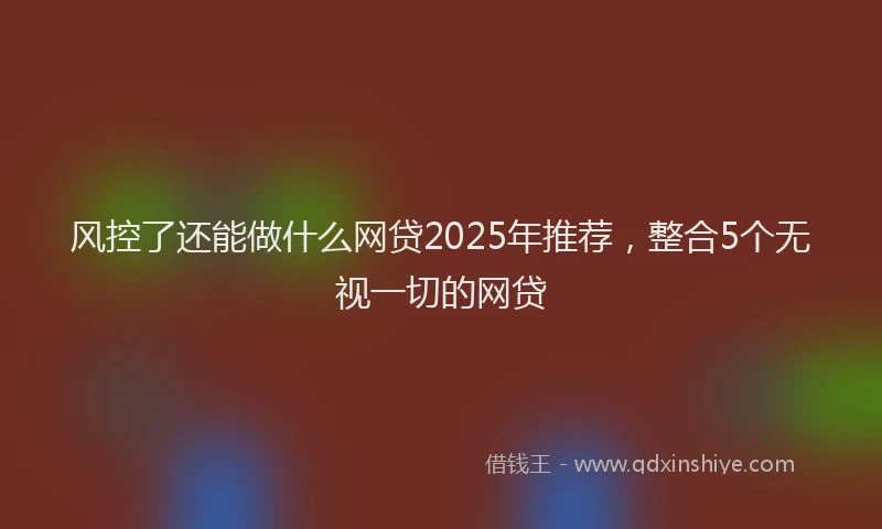 风控了还能做什么网贷2025年推荐，整合5个无视一切的网贷