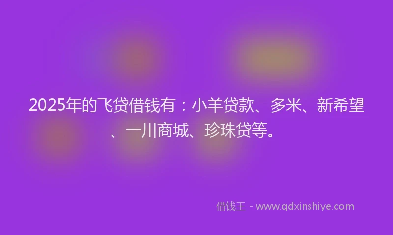 2025年的飞贷借钱有：小羊贷款、多米、新希望、一川商城、珍珠贷等。