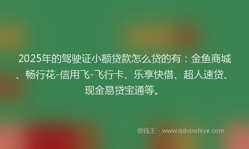 2025年的驾驶证小额贷款怎么贷的有：金鱼商城、畅行花-信用飞-飞行卡、乐享快借、超人速贷、现金易贷宝通等。
