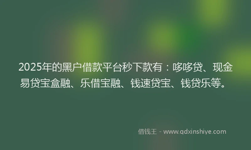 2025年的黑户借款平台秒下款有：哆哆贷、现金易贷宝盒融、乐借宝融、钱速贷宝、钱贷乐等。