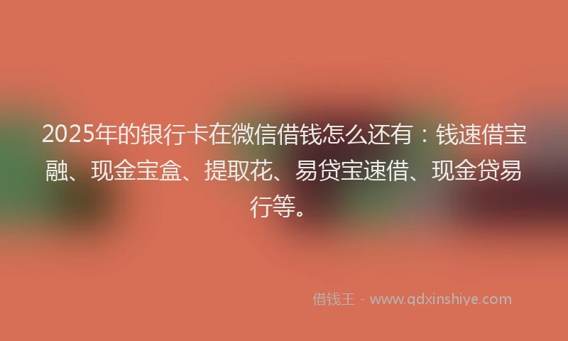 2025年的银行卡在微信借钱怎么还有：钱速借宝融、现金宝盒、提取花、易贷宝速借、现金贷易行等。