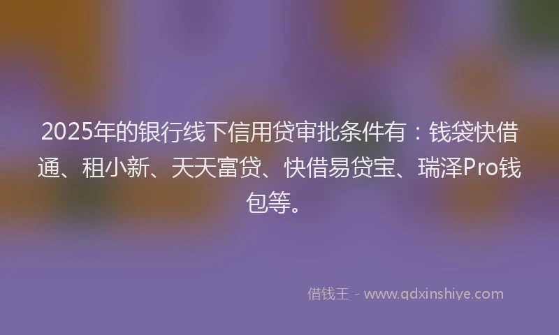 2025年的银行线下信用贷审批条件有：钱袋快借通、租小新、天天富贷、快借易贷宝、瑞泽Pro钱包等。