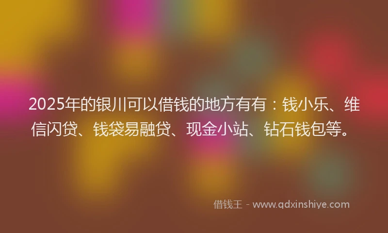 2025年的银川可以借钱的地方有有：钱小乐、维信闪贷、钱袋易融贷、现金小站、钻石钱包等。