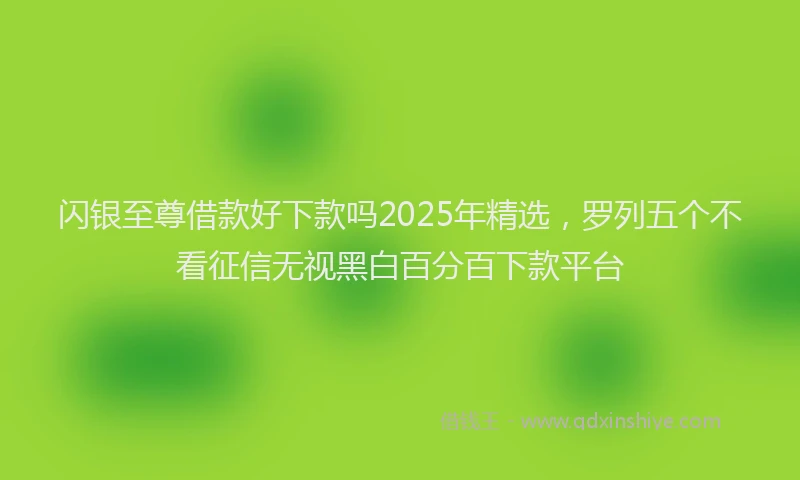 闪银至尊借款好下款吗2025年精选，罗列五个不看征信无视黑白百分百下款平台