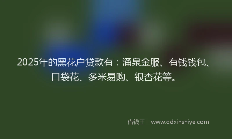 2025年的黑花户贷款有：涌泉金服、有钱钱包、口袋花、多米易购、银杏花等。