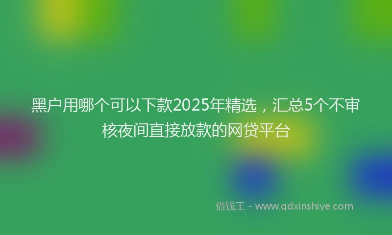 黑户用哪个可以下款2025年精选，汇总5个不审核夜间直接放款的网贷平台