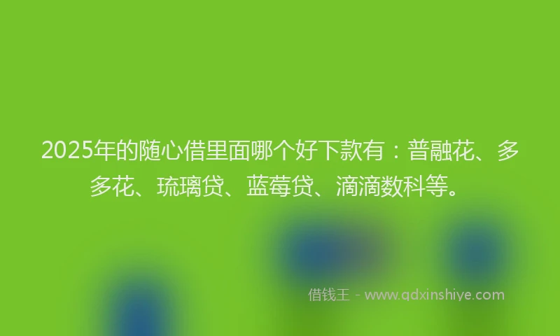 2025年的随心借里面哪个好下款有：普融花、多多花、琉璃贷、蓝莓贷、滴滴数科等。
