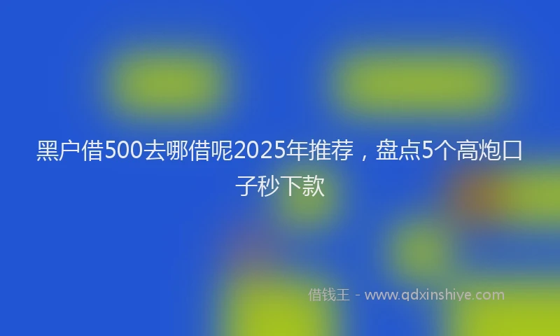 黑户借500去哪借呢2025年推荐，盘点5个高炮口子秒下款
