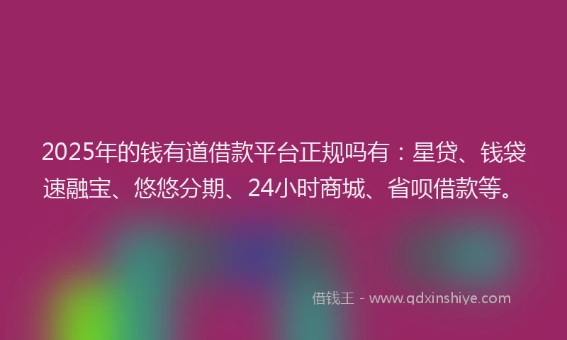 2025年的钱有道借款平台正规吗有：星贷、钱袋速融宝、悠悠分期、24小时商城、省呗借款等。