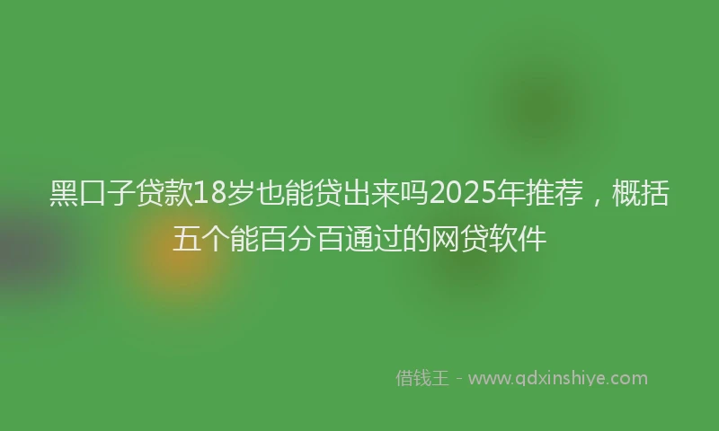 黑口子贷款18岁也能贷出来吗2025年推荐，概括五个能百分百通过的网贷软件