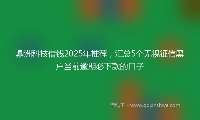 鼎洲科技借钱2025年推荐，汇总5个无视征信黑户当前逾期必下款的口子