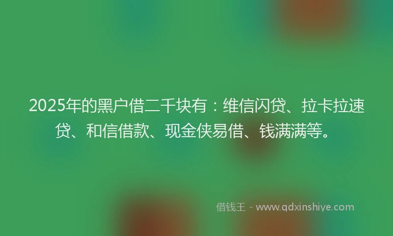 2025年的黑户借二千块有：维信闪贷、拉卡拉速贷、和信借款、现金侠易借、钱满满等。