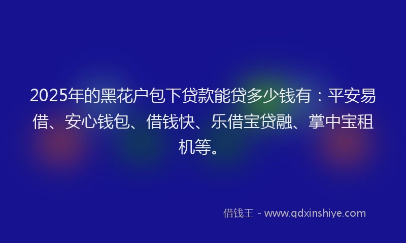 2025年的黑花户包下贷款能贷多少钱有：平安易借、安心钱包、借钱快、乐借宝贷融、掌中宝租机等。