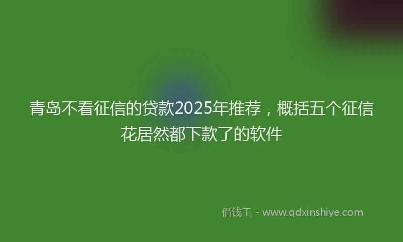 青岛不看征信的贷款2025年推荐，概括五个征信花居然都下款了的软件