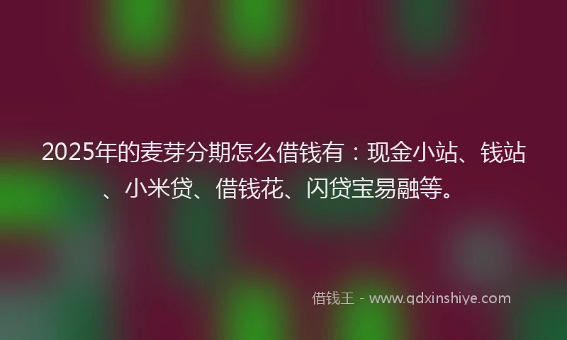 2025年的麦芽分期怎么借钱有：现金小站、钱站、小米贷、借钱花、闪贷宝易融等。