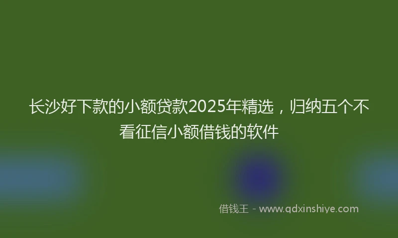 长沙好下款的小额贷款2025年精选，归纳五个不看征信小额借钱的软件