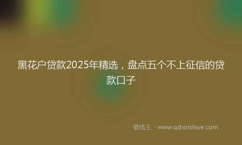 黑花户贷款2025年精选，盘点五个不上征信的贷款口子