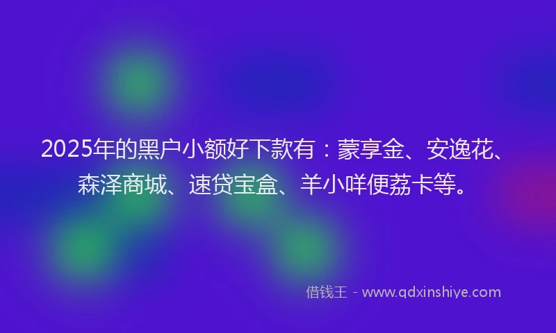 2025年的黑户小额好下款有：蒙享金、安逸花、森泽商城、速贷宝盒、羊小咩便荔卡等。