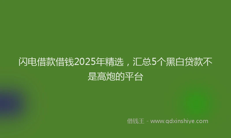 闪电借款借钱2025年精选，汇总5个黑白贷款不是高炮的平台