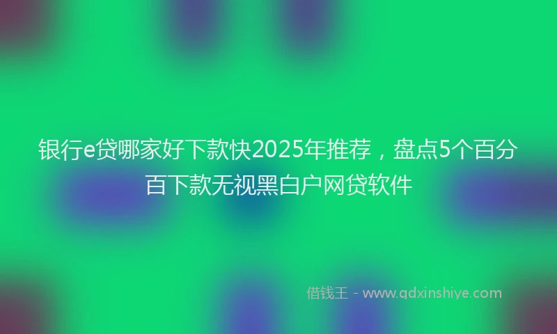 银行e贷哪家好下款快2025年推荐，盘点5个百分百下款无视黑白户网贷软件