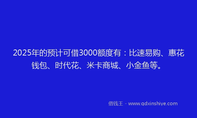 2025年的预计可借3000额度有：比速易购、惠花钱包、时代花、米卡商城、小金鱼等。