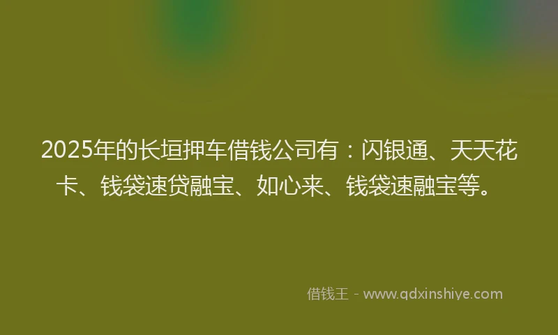 2025年的长垣押车借钱公司有：闪银通、天天花卡、钱袋速贷融宝、如心来、钱袋速融宝等。